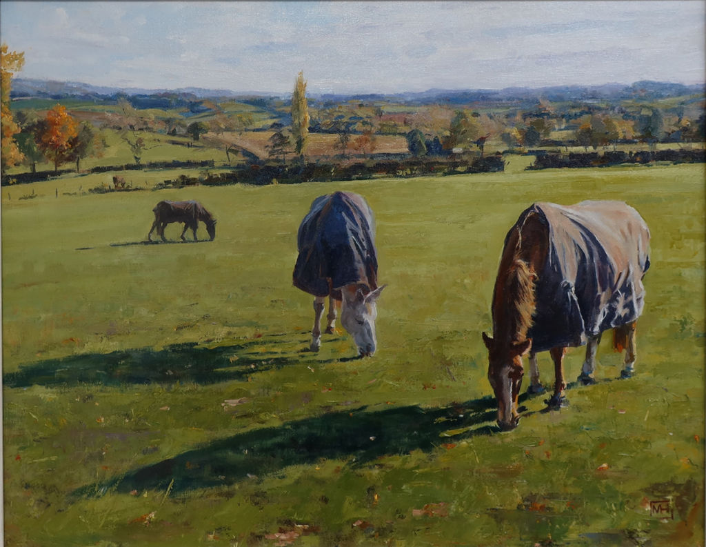 Image for Gypsy Lane Paddock