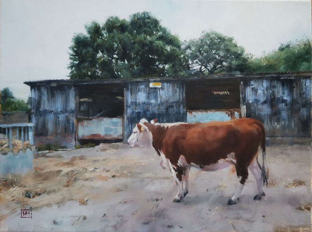 Image for Early Morning Feed.