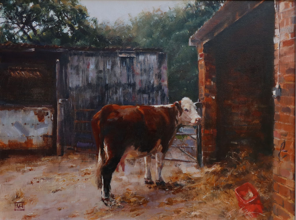 Image for Afternoon Feed